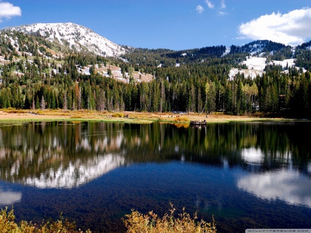 Mountain lake - lake, tree, mountain, reflection