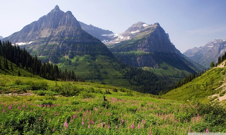 Mountain pasture - nature, mountain, grass, pasture