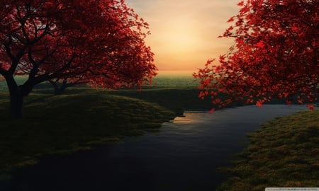 Maple pond - sunset, nature, pond, maple, tree