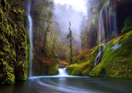 Beauty in nature - gorge, beauty, trees, hills, falls, moss, plants, mist, river, cliffs