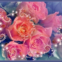 pink roses abstract