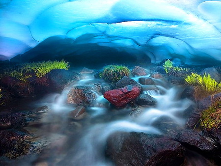 Little brook - water, foam, blue, plants, rocks, brook