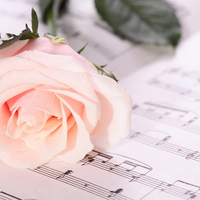 Sweet melody and beautiful rose