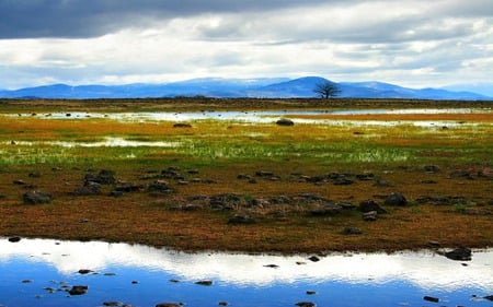 landscape nature - water, landscape, grass, blue, sky, land, reflection, clouds, tree, nature, green