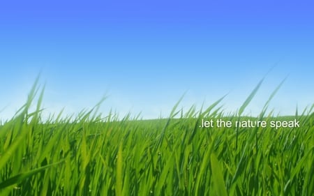 let-the-nature-speak - nature, sky, landscape, blue, green, grass