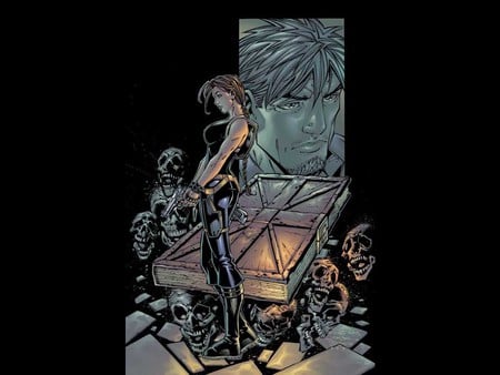 Tomb Raider - lara croft, fantasy, comic, tomb raider, art