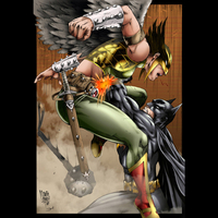 Batman vs Hawkgirl