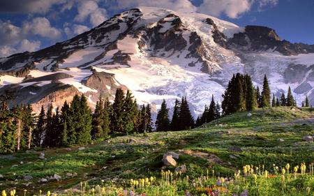 Mountain - trees, nature, mountain, sky