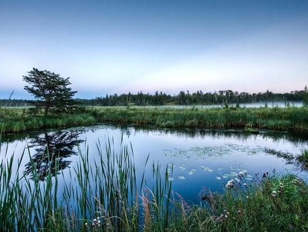 Lake - sky, lake, trees, nature