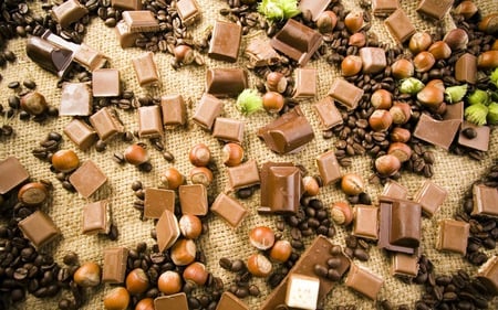 Chocolate - good, rich, chocolate, very