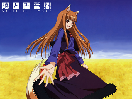 Holo - long hair, field, wolf, horo, wolf girl, spice and wolf, clouds, orange hair, holo, dress