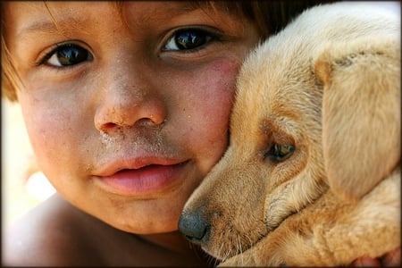 True Love - love, child, dog, friendly