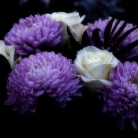 wonderful colors