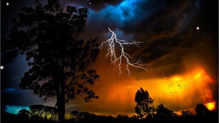 force of nature - skies, force, nature, darkness, tree, lighting