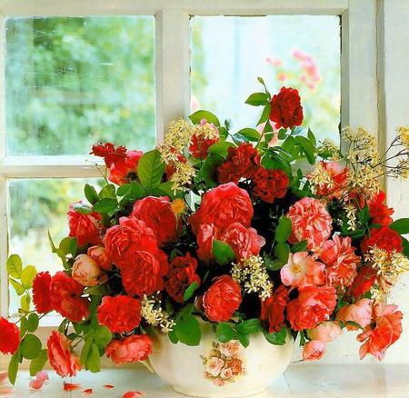 window dressing - vase, roses, window, table, bouquet, panes