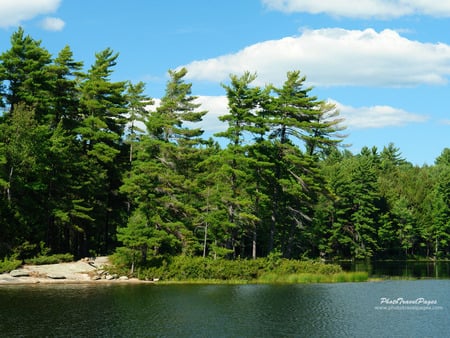 Hardy lake - lake, forest, landscape, canada, tree