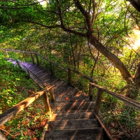 Steps-HDR