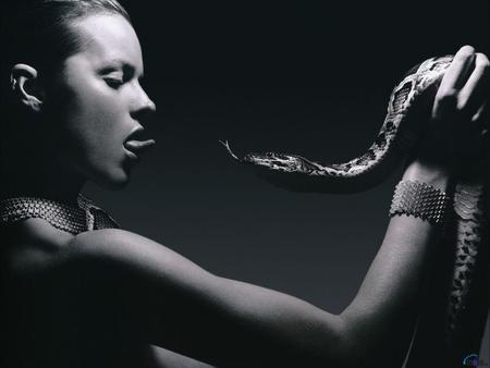 Eva-Herzigova-with-snake - black, white, people, lady, snake, girl, models