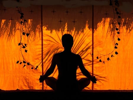 Transcending - sitting, meditate, peaceful, leaves, meditation, transcend, shadow