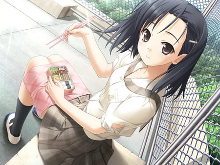 Yosuga No Sora - bento, girl, lunch, school, takashi, kozue, cg, roof, box, 3d, top, obento, chopstick, cute, hashimoto, kuranaga