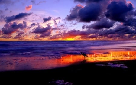 BEACH SUNSET - clouds, sunset, beach, ocean, sky