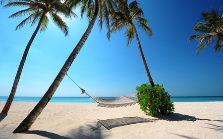 Tropical Beach - pretty, relax, sunny, summer, blue, beach, isolation, tranquil, island, sand, leaves, view, exotic, palm trees, paradise, sky, trees, relaxing, beautiful, sea, hammock, beauty, lovely, ocean, nature, tropical, green, peaceful, peace and quiet