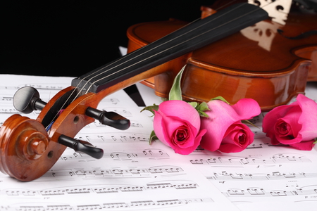 Romance - elegantly, roses, romance, pink, photo, gentle, flowers, music, nice, notes, beautiful, violin, photography, cool, love, flower, harmony, rose