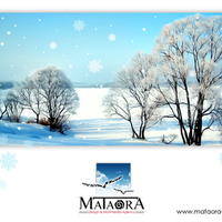 mataora-winter