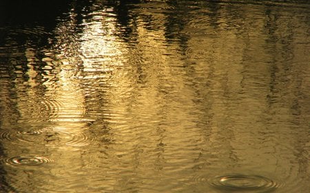 golden pond - lake, pond, water, reflection, gold, nature