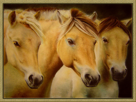 three horses - horses, three, yellow