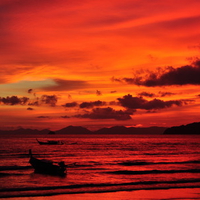 Red Sunset