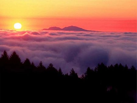 Clouds at sunset - nature, sky, forest, clouds, sun, tree, sunset