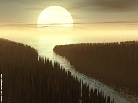 Coast sunset - moon, nature, forest, sun, tree, sunset