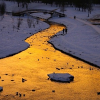 Golden-River