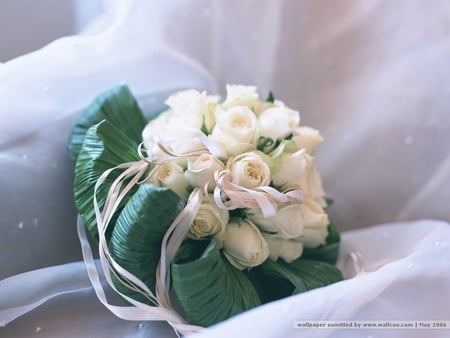 white - pink decoration, beautiful, bouquet, white roses, greens, chear, shawl