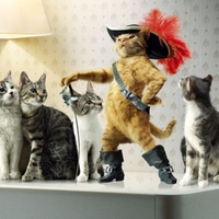 warrior kitty