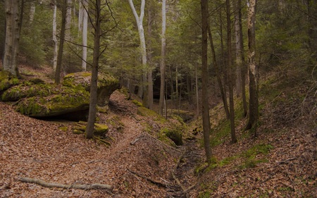 Conkles Hollow - forests, nature, beautiful, hollow, rocks