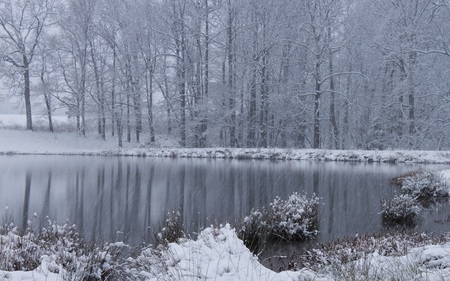 White Christmas - forests, winter, nature, pond, beautiful, snow