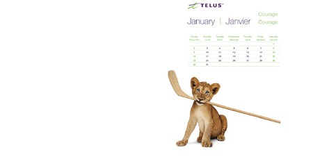 Lions - telus, 2011, calendar, january, lion