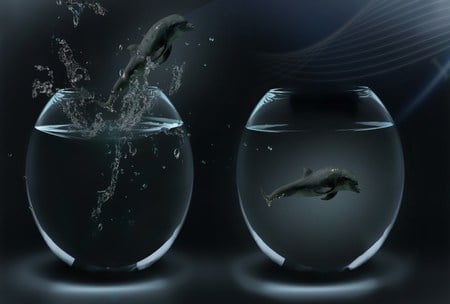 Jumping Dolphins - jumping, abstract, effects, dolphins