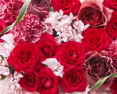 Red Beauty - roses, beautiful, flowers arrangement, red, still life, carnations