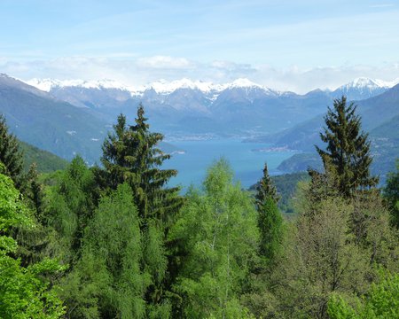 Lake Como - houses, trees, italy, scenic, water, mountains, forest, tourists, snow, holiday, europe