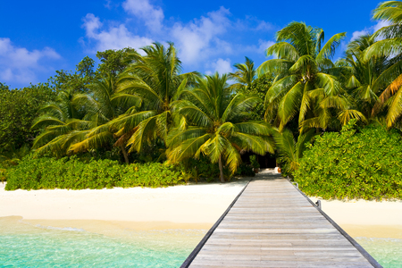 Tropical Beach - beauty, sky, beach, trees, paradise, peaceful, water, clouds, summer time, holiday, green, bridge, sand, ocean, palms, summer, tropical, lovely, exotic, nature, pier, blue, beautiful, leaves, splendor, fine sand, colors, sea, tropical beach