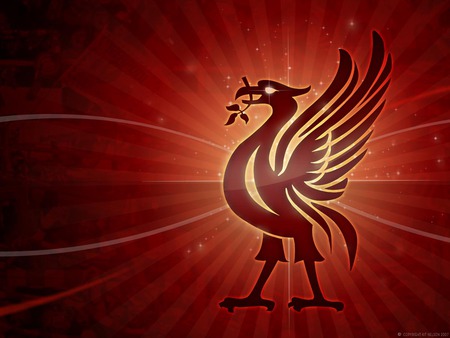 Liverpool liverbird - football, liverbird, liverpool, soccer, liverpool fc