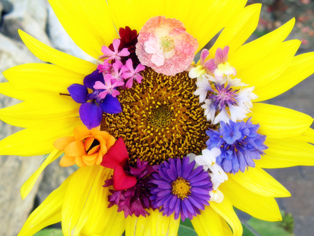 bouquet - red, purple, pretty, pink, flowers, bouquet, yellow, nature