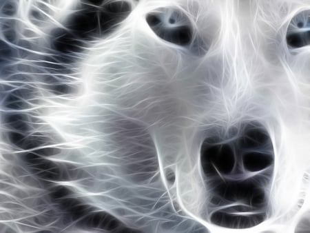 Wolf - wolf, white, fractal, nose, blue