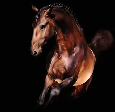 Lusitan Horse Portrait