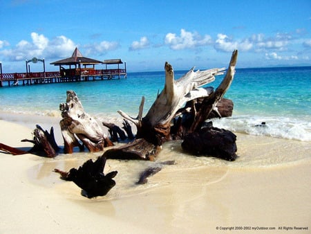 Borneo beach - sunny, beach, beautiful, borneo, sea