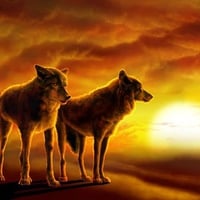 WOLVES SUNSET