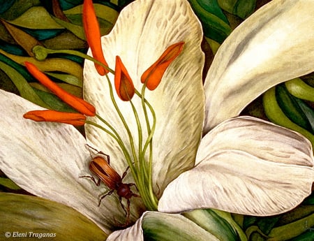 The Visitor - white, brown, petals, beetle, stamen, flower